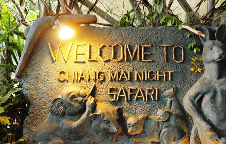 Chiangmai Night Safari Resort Чиангмай Экстерьер фото